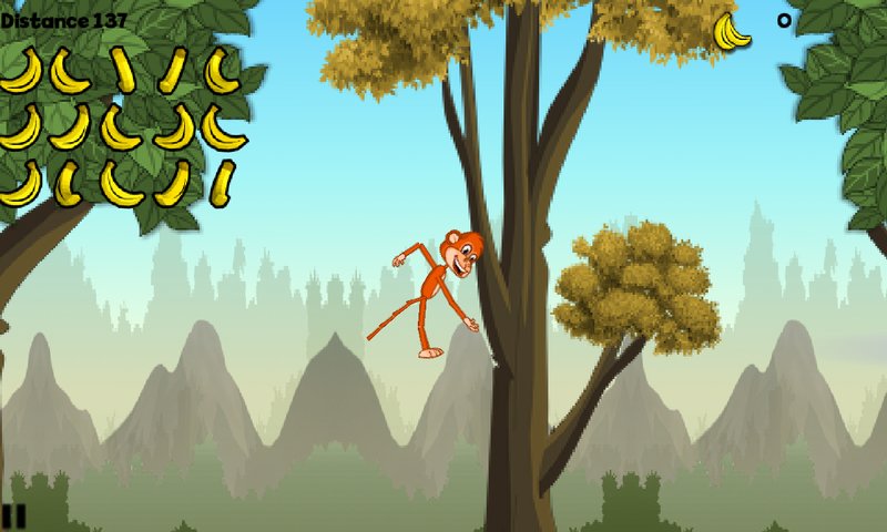 Monkey Swing